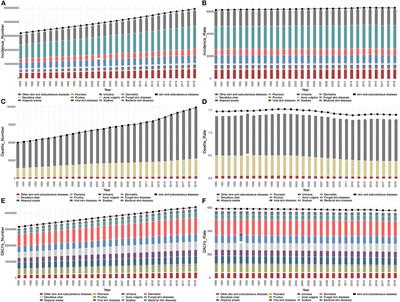 The burden of skin and subcutaneous diseases: findings from the global burden of disease study 2019